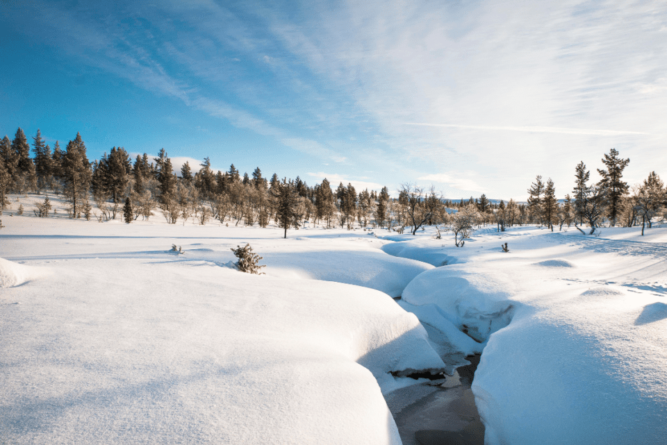 The landscape of Lapland