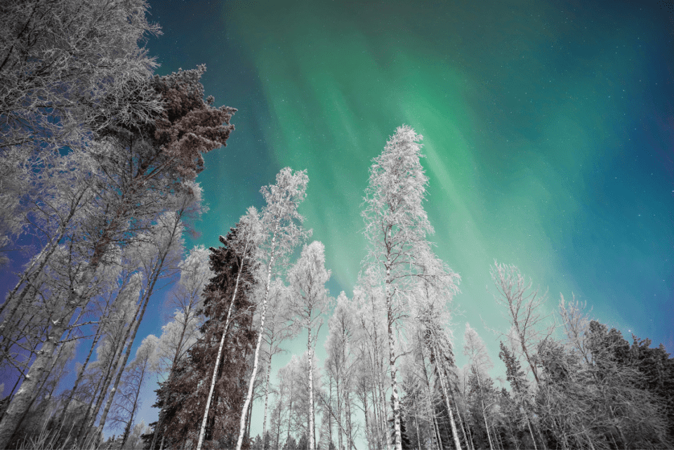The Aurora Borealis in Lapland