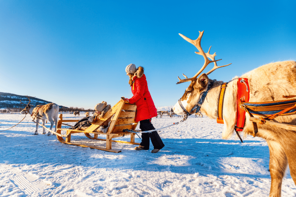 Sleigh ride in Lapland, Finland
